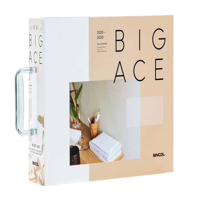 BIGACE（ビッグエース）